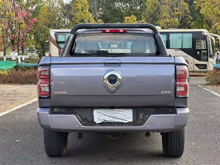 Photo 8 - Great Wall King Kong Poer