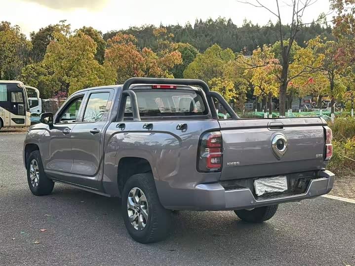 Photo 9 - Great Wall King Kong Poer