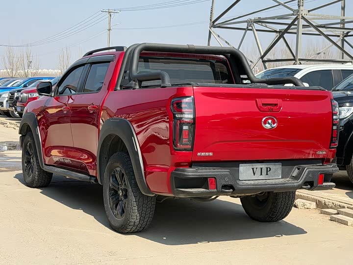 Фото 4 - Great Wall Pao