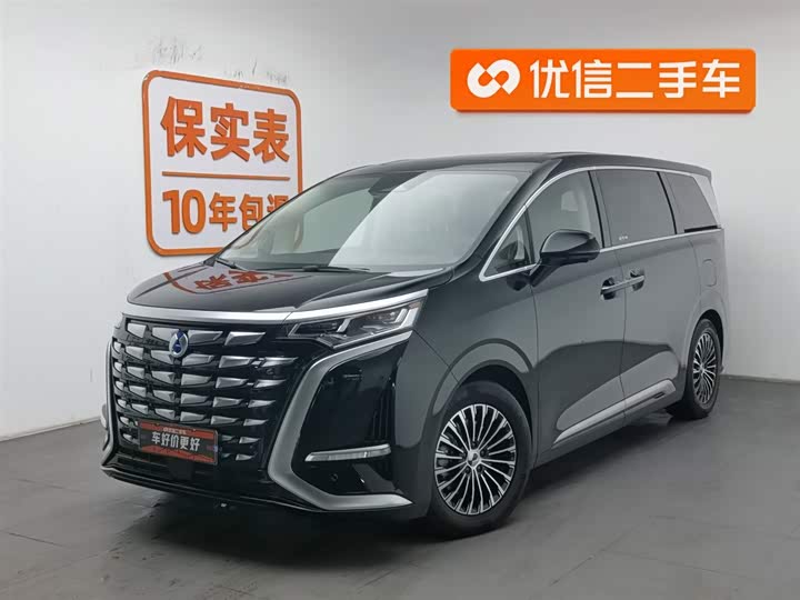 Фото 1 - Denza D9