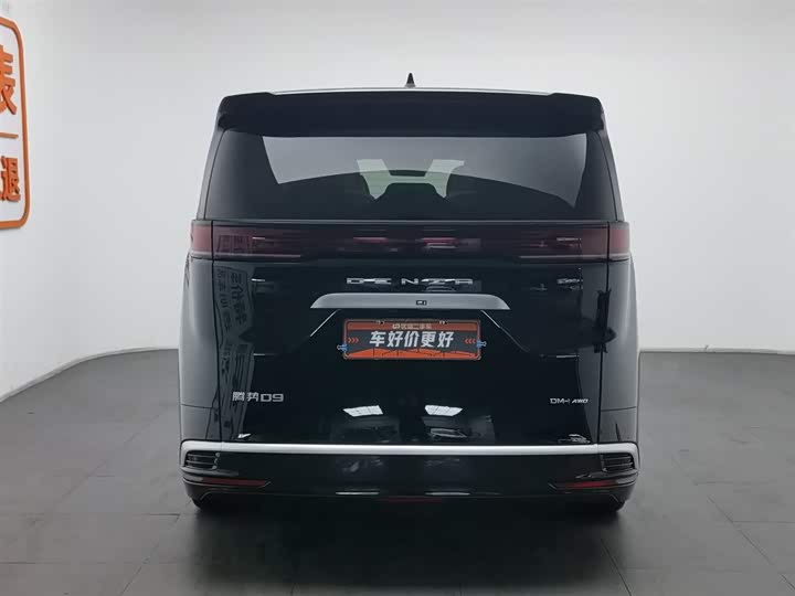 Фото 4 - Denza D9