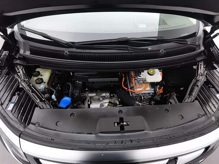 Фото 6 - Denza D9