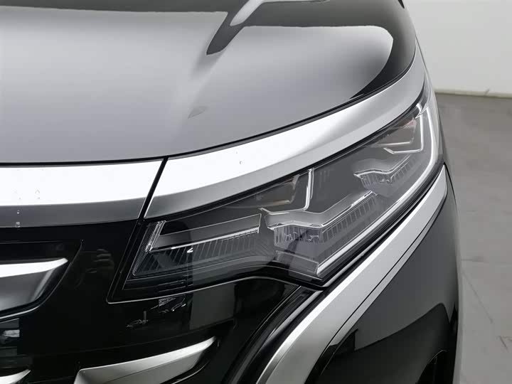 Фото 7 - Denza D9