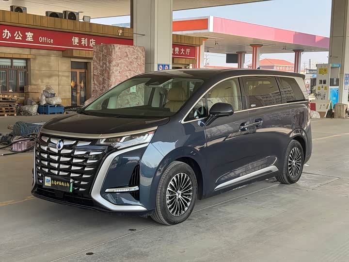 Фото 1 - Denza D9