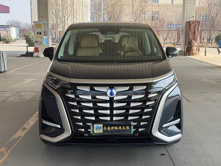 Фото 2 - Denza D9