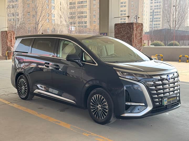 Фото 3 - Denza D9