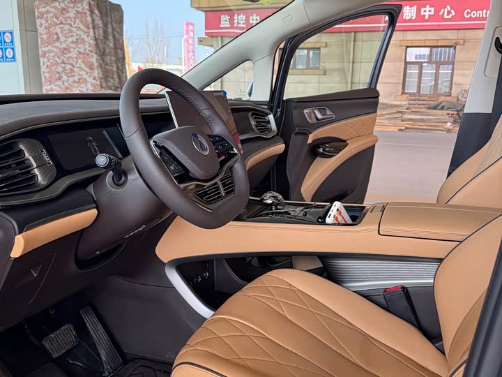 Фото 4 - Denza D9