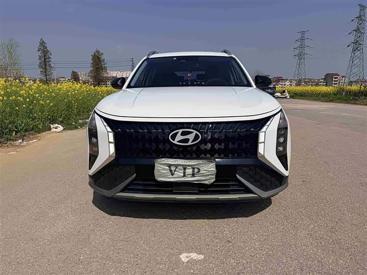 Фото 2 - Hyundai ix35 (Mufasa)
