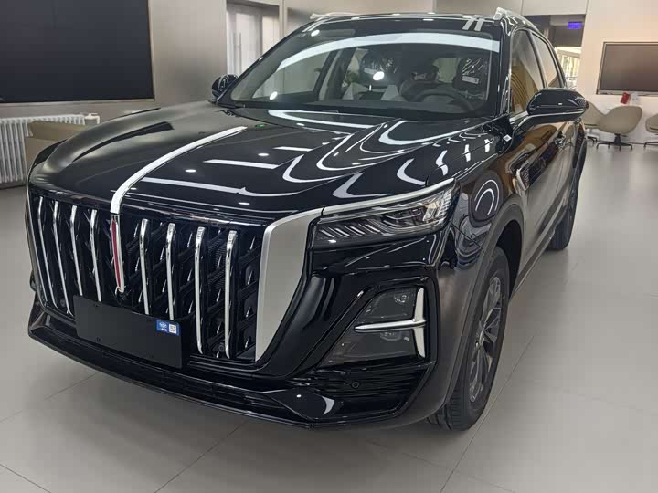 Фото 1 - Hongqi HS5