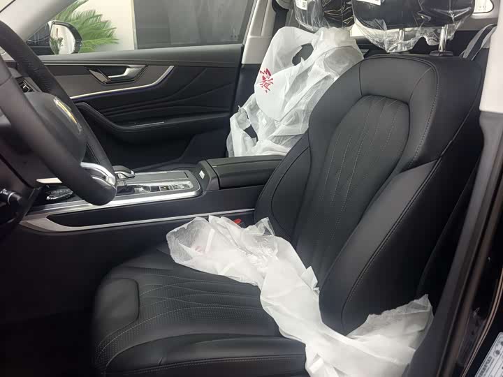 Фото 9 - Hongqi HS5