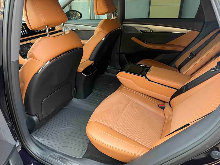 Photo 5 - Voyah Passion