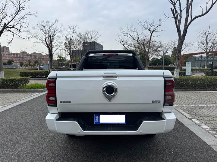 Photo 9 - Great Wall King Kong Poer