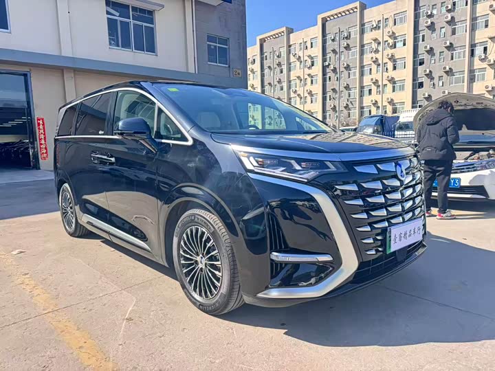 Фото 1 - Denza D9