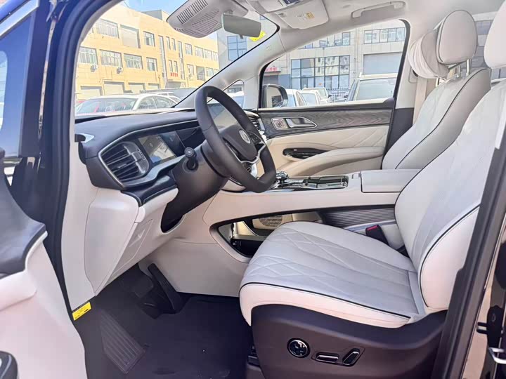 Фото 4 - Denza D9