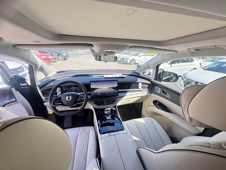 Фото 7 - Denza D9