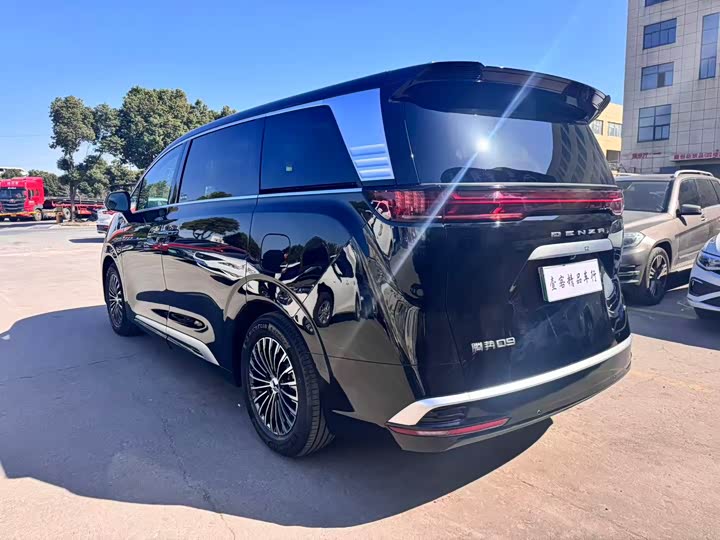 Фото 8 - Denza D9