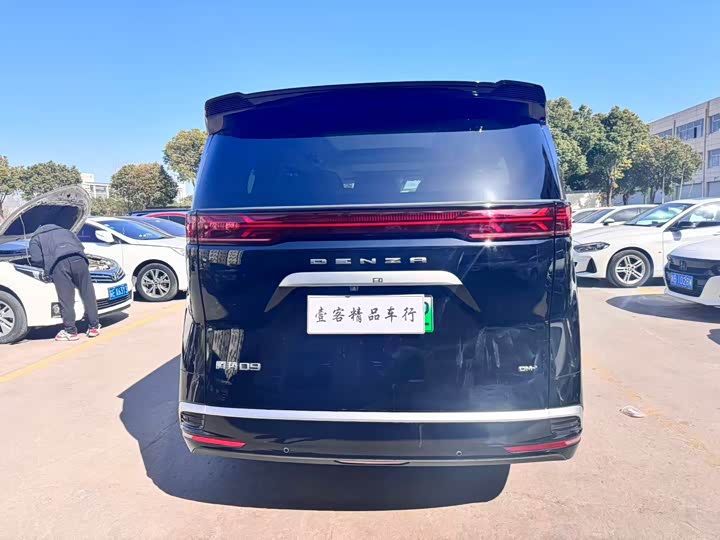 Фото 9 - Denza D9