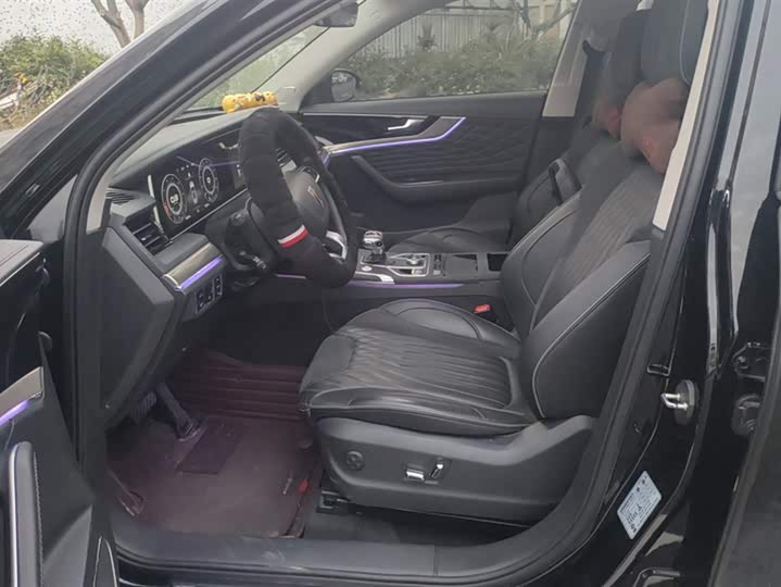 Photo 9 - Hongqi HS5