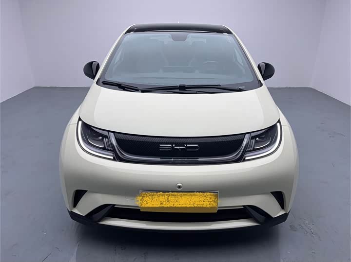 Фото 2 - BYD Dolphin