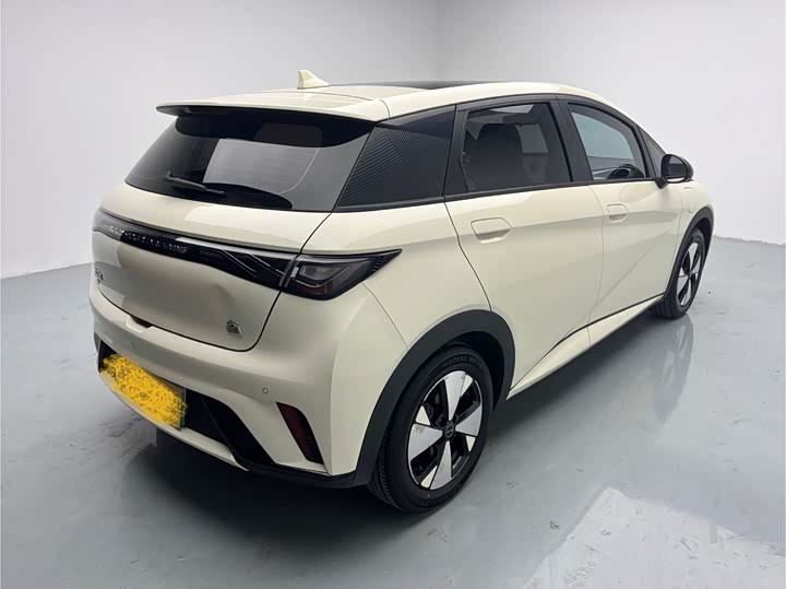 Фото 4 - BYD Dolphin