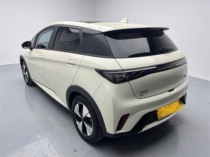 Фото 6 - BYD Dolphin