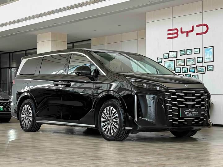 Фото 3 - BYD Xia