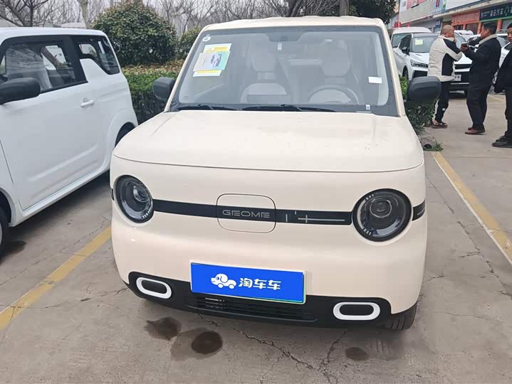 Фото 2 - Geely Galaxy Panda Mini