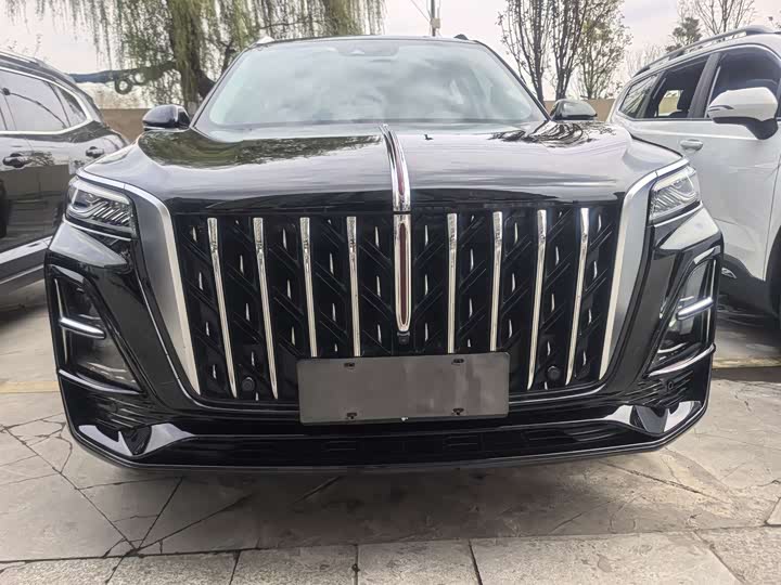 Фото 2 - Hongqi HS5