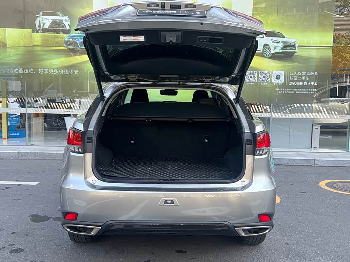 Фото 9 - Lexus RX