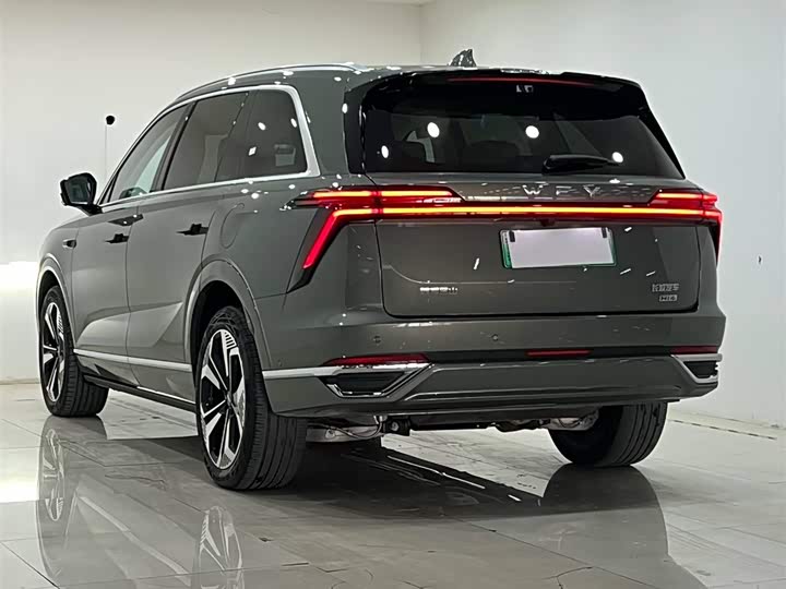 Фото 5 - Wey Lanshan