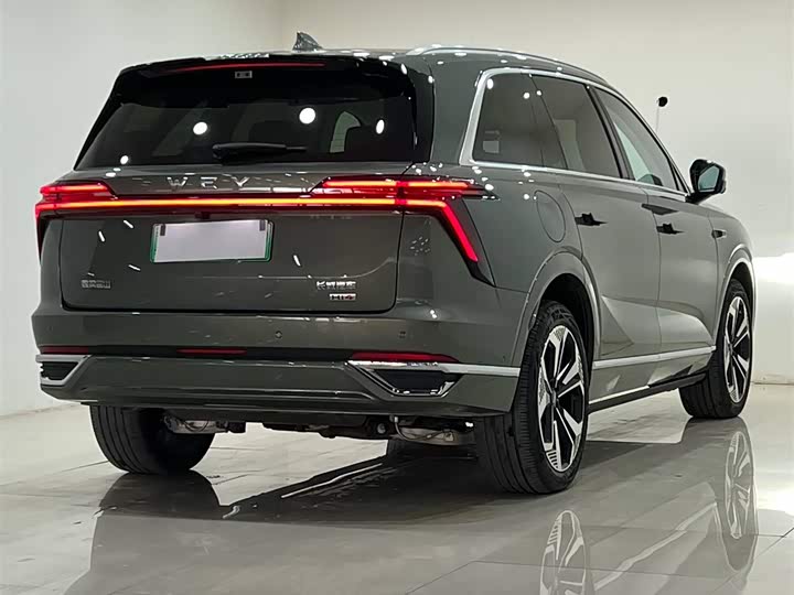 Фото 7 - Wey Lanshan