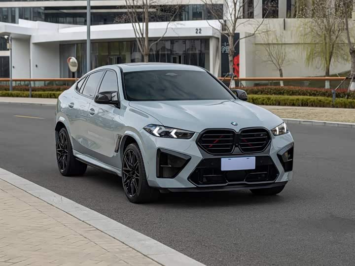 Фото 3 - BMW X6 M