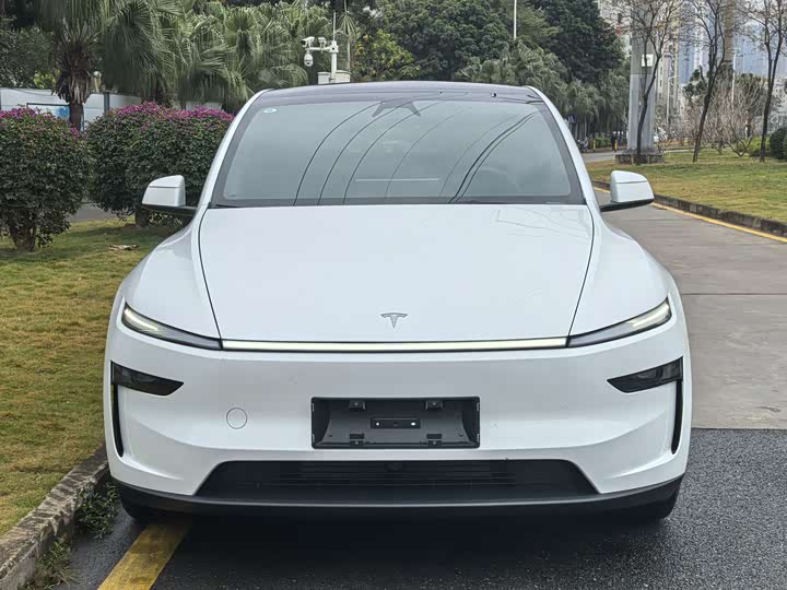 Фото 2 - Tesla Model Y