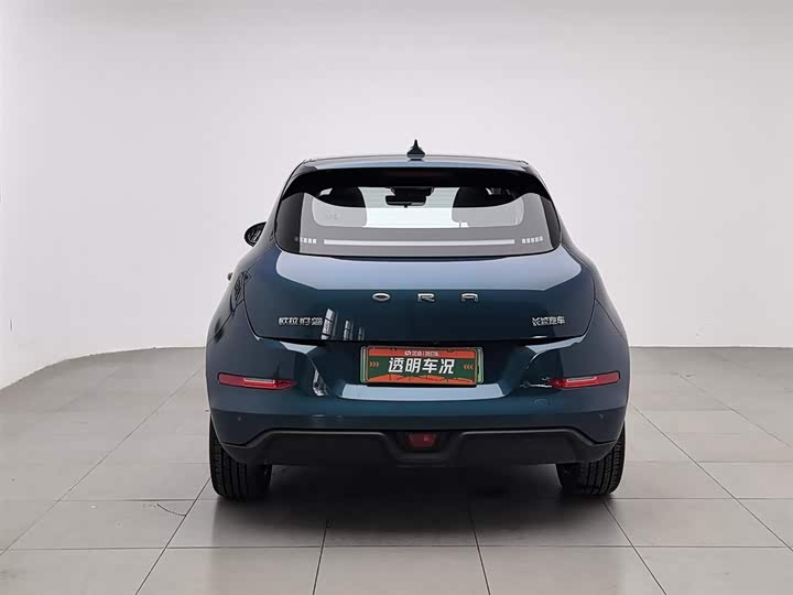 Photo 4 - Ora Good Cat (03)