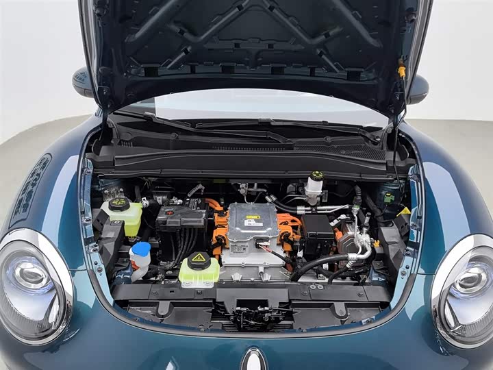 Photo 6 - Ora Good Cat (03)