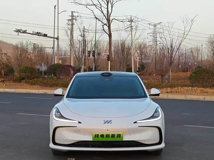 Photo 2 - IM motors L6