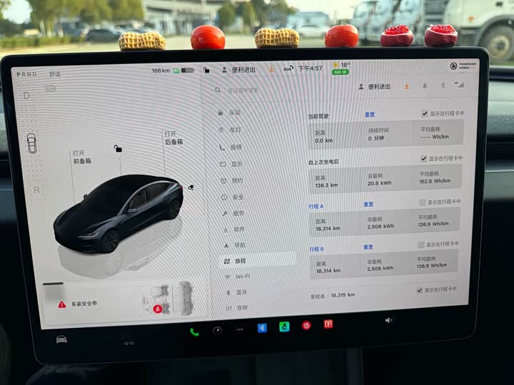 Фото 9 - Tesla Model 3