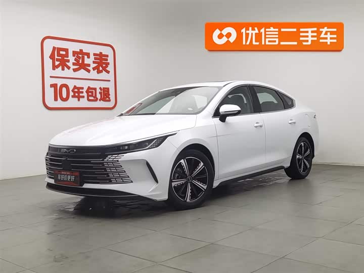 Фото 1 - BYD Destroyer 05