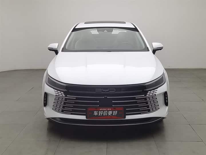 Фото 3 - BYD Destroyer 05