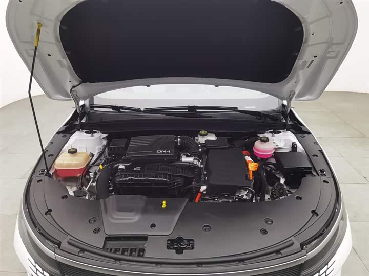 Фото 6 - BYD Destroyer 05