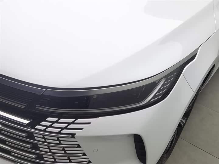 Фото 7 - BYD Destroyer 05