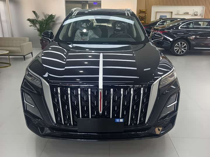 Фото 2 - Hongqi HS5