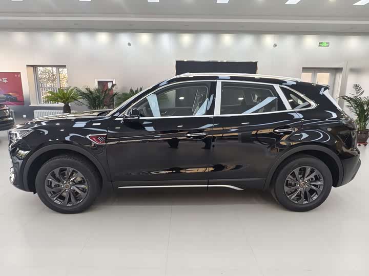 Фото 3 - Hongqi HS5