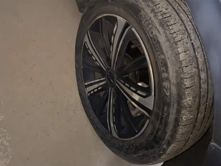 Фото 6 - BYD Destroyer 05