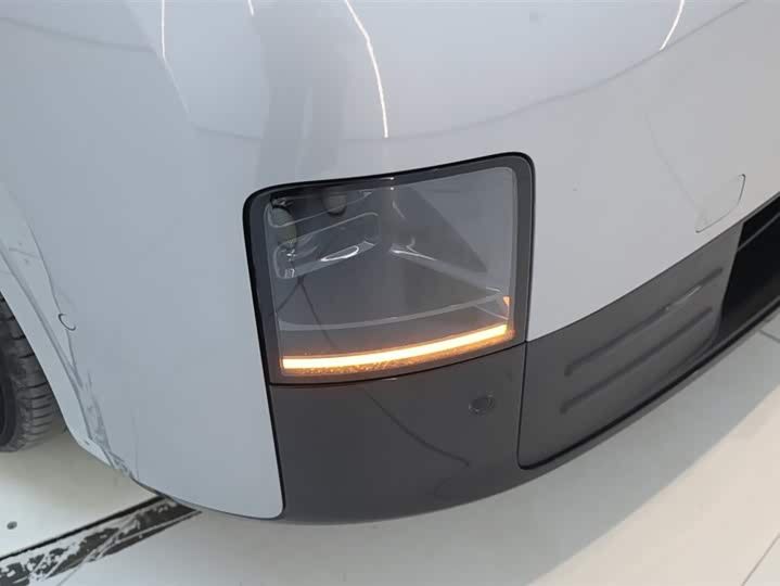 Фото 9 - LiXiang Mega