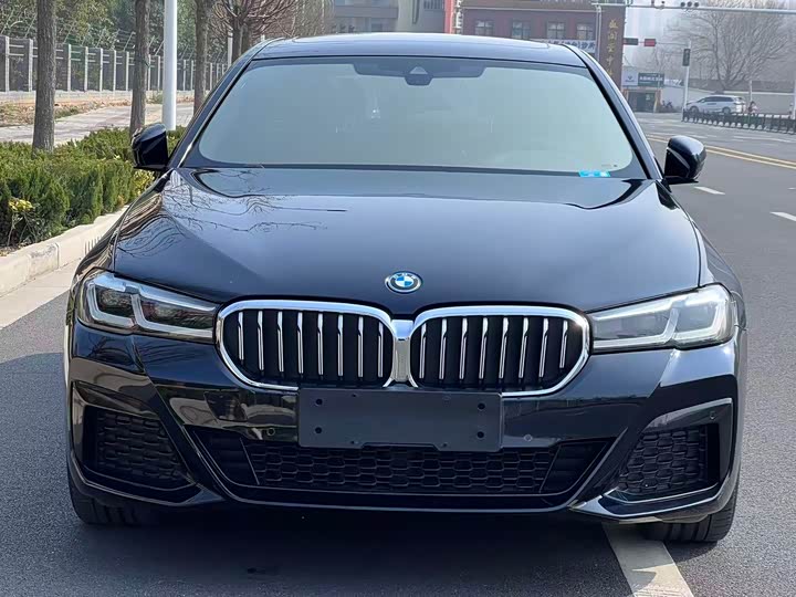 Photo 2 - BMW 5 Series Hybrid