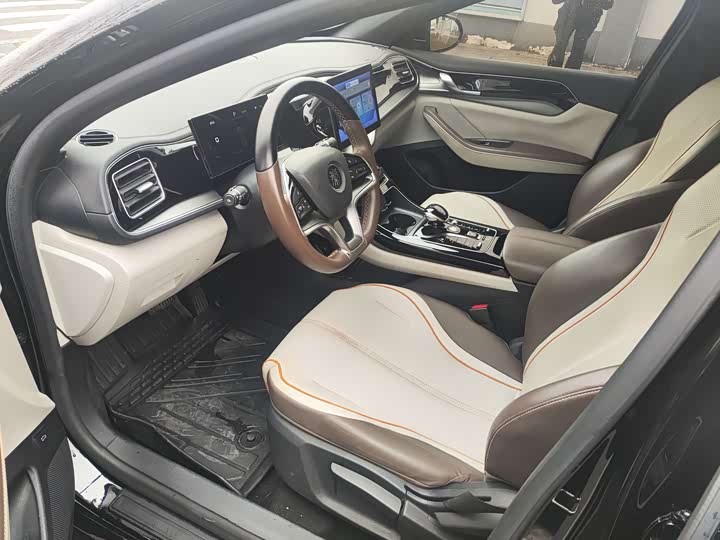 Фото 4 - BYD Qin Plus