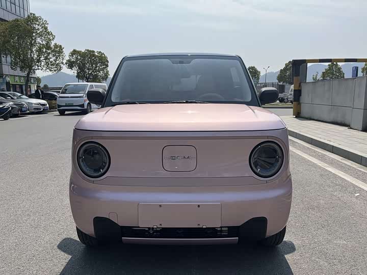 Фото 2 - Geely Galaxy Panda Mini