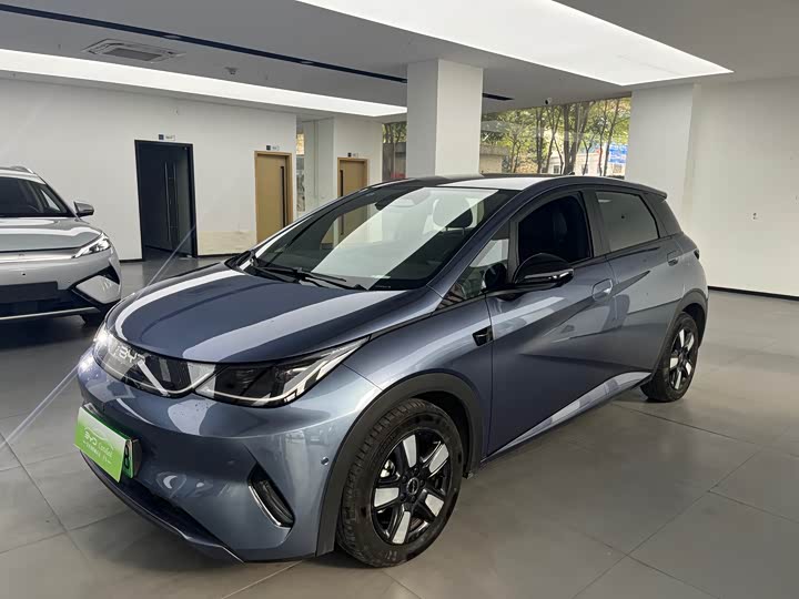 Фото 1 - BYD Dolphin