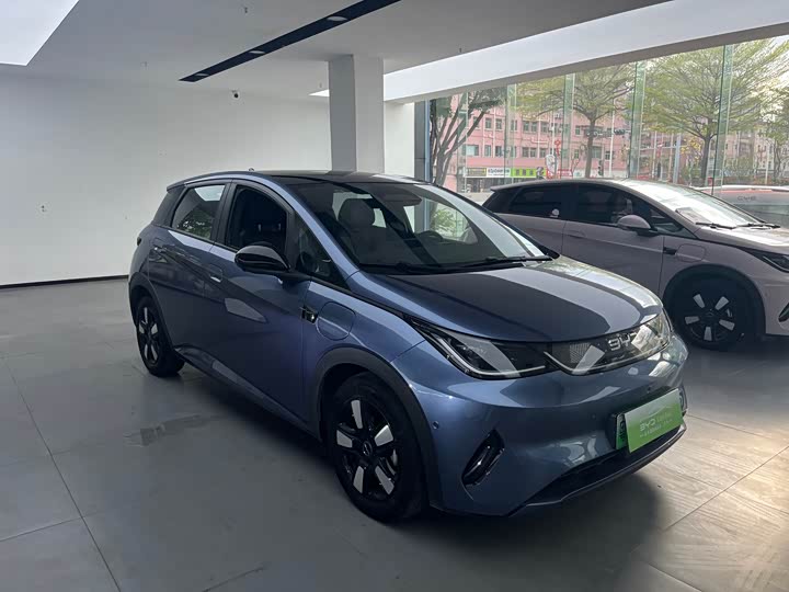 Фото 3 - BYD Dolphin